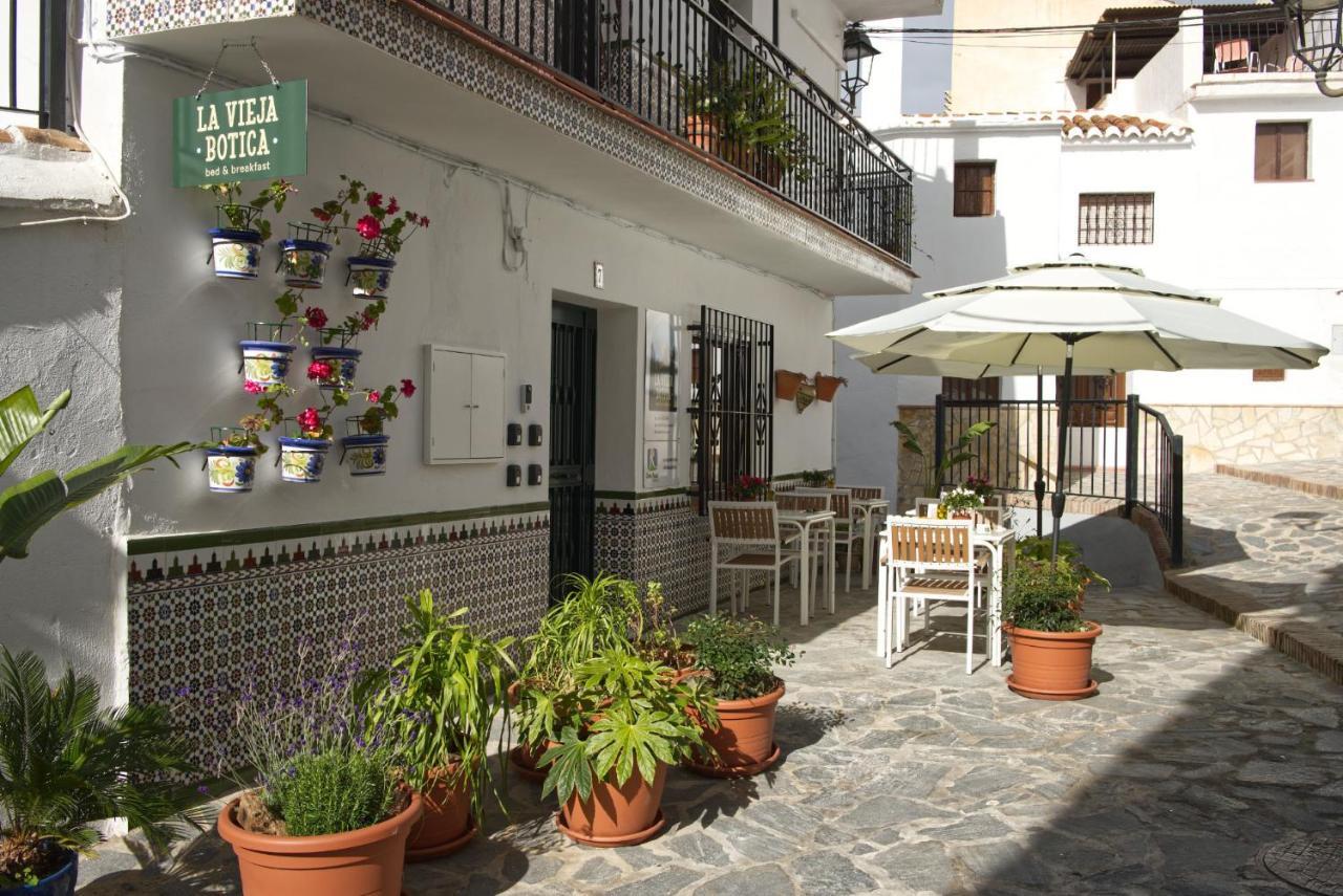 Bed and Breakfast La Vieja Botica Canillas de Aceituno Exterior foto